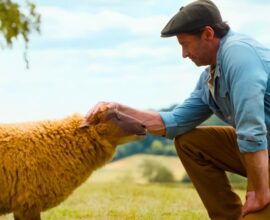 Hugh Jackman's Murder Mystery Box Office Hit: The Sheep Detectives Surprises at Weekend Box Office