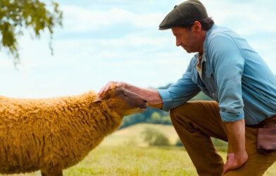 Hugh Jackman's Murder Mystery Box Office Hit: The Sheep Detectives Surprises at Weekend Box Office