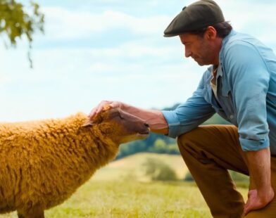 Hugh Jackman's Murder Mystery Box Office Hit: The Sheep Detectives Surprises at Weekend Box Office