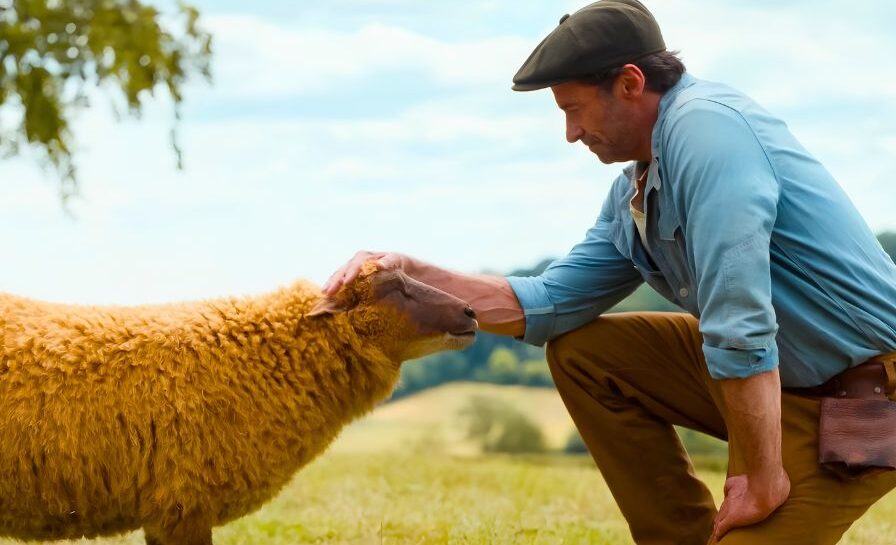 Hugh Jackman's Murder Mystery Box Office Hit: The Sheep Detectives Surprises at Weekend Box Office