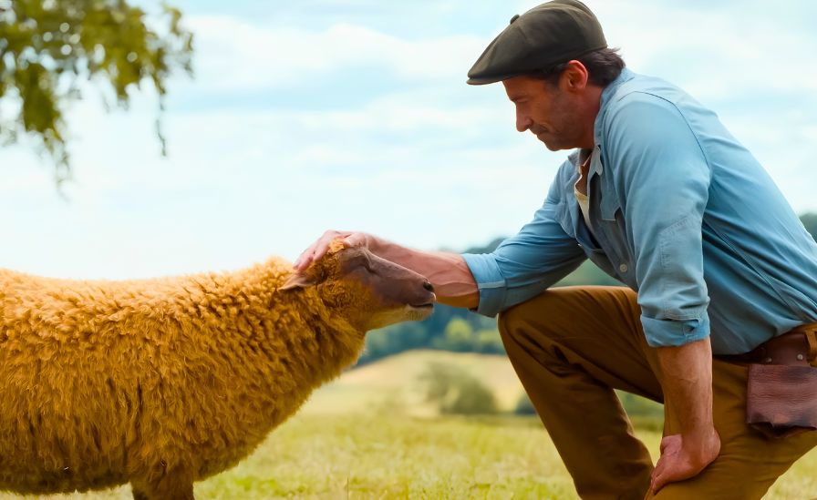 Hugh Jackman's Murder Mystery Box Office Hit: The Sheep Detectives Surprises at Weekend Box Office